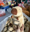 Gấu bông Capybara in chữ theo yêu cầu