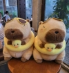Gấu Bông MS Capybara Phao Bơi Vịt