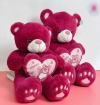 Gấu Bông Teddy Ôm Tim Lotso