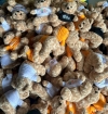 Gấu Bông Teddy In Logo Theo Yêu Cầu