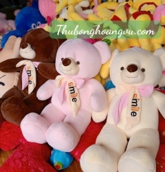  Gấu Bông Teddy đeo nơ