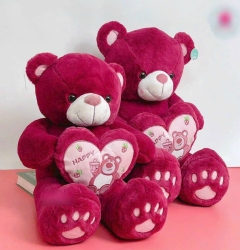 Gấu Bông Teddy Ôm Tim Lotso