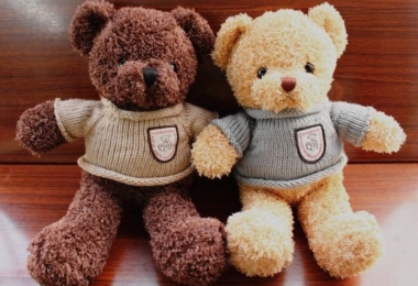 Lịch sử ra đời của gấu bông Teddy